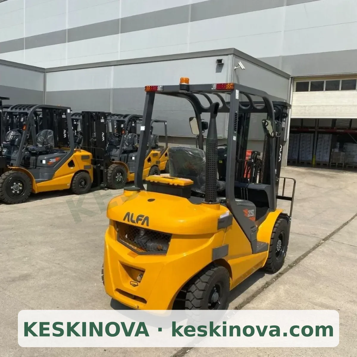 ALFA Dizel Forklift 2.5 TON