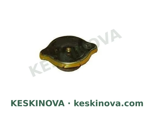CATERPILLAR OEM 2S3080 RADYATÖR DEPO KAPAĞI
